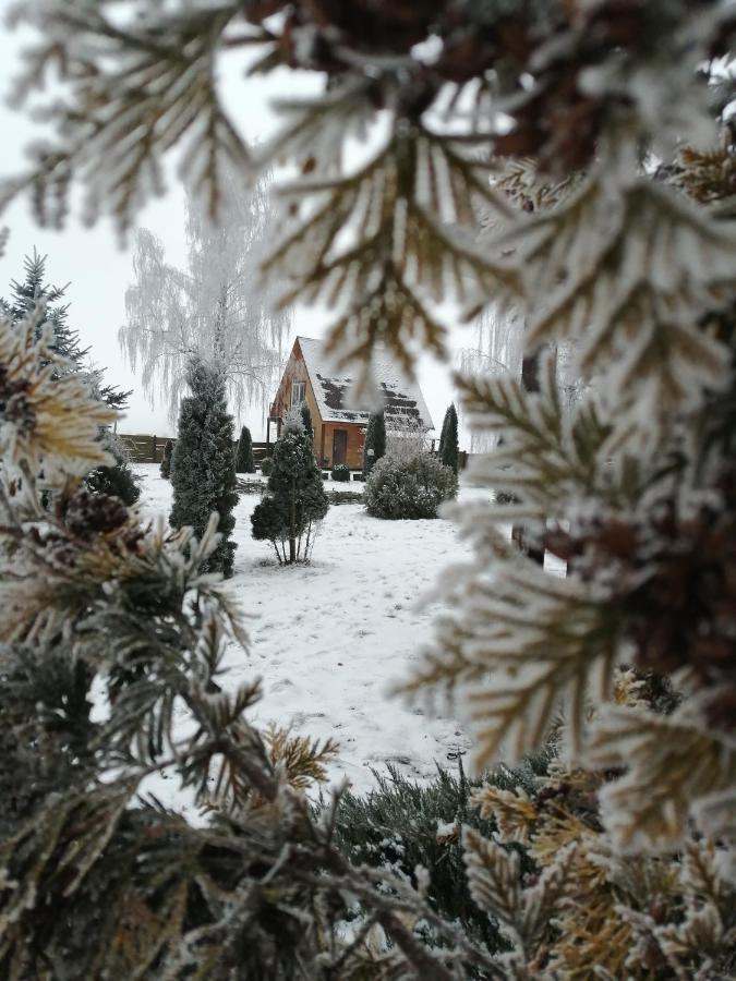 Hotel Usadba Kupalinka Ostrovo Exterior foto