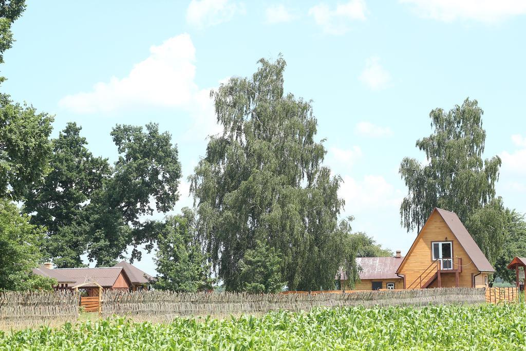 Hotel Usadba Kupalinka Ostrovo Zimmer foto